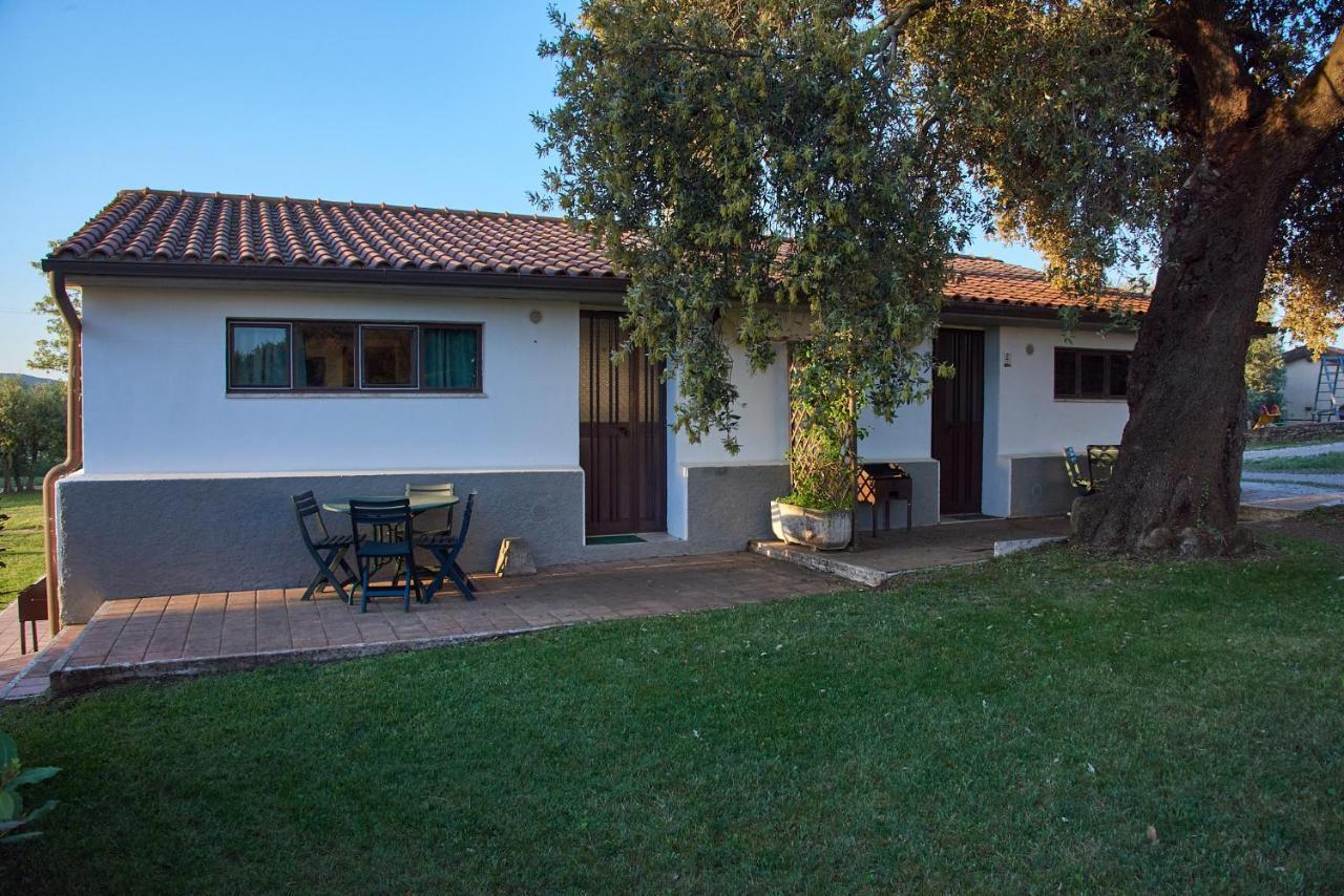 Agriturismo Tesorino Massa Marittima Eksteriør billede