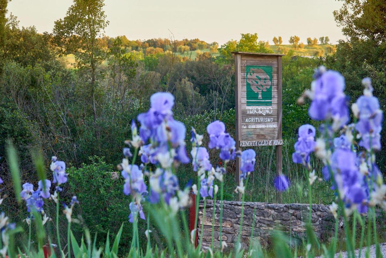 Agriturismo Tesorino Massa Marittima Eksteriør billede
