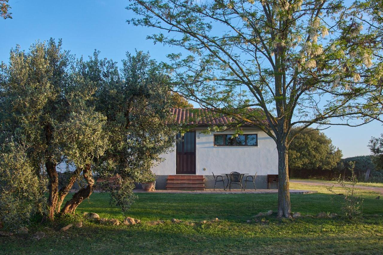 Agriturismo Tesorino Massa Marittima Eksteriør billede
