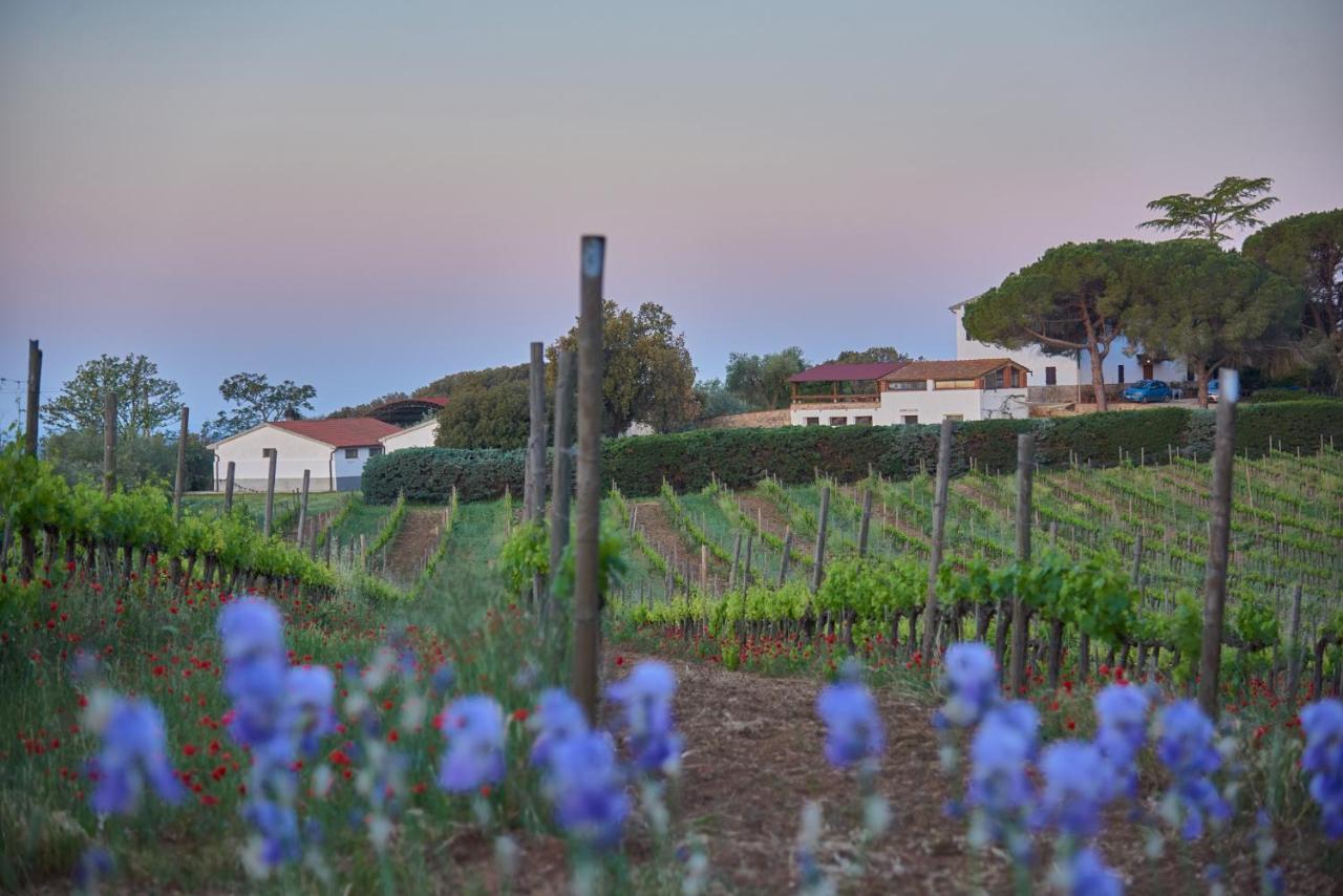 Agriturismo Tesorino Massa Marittima Eksteriør billede