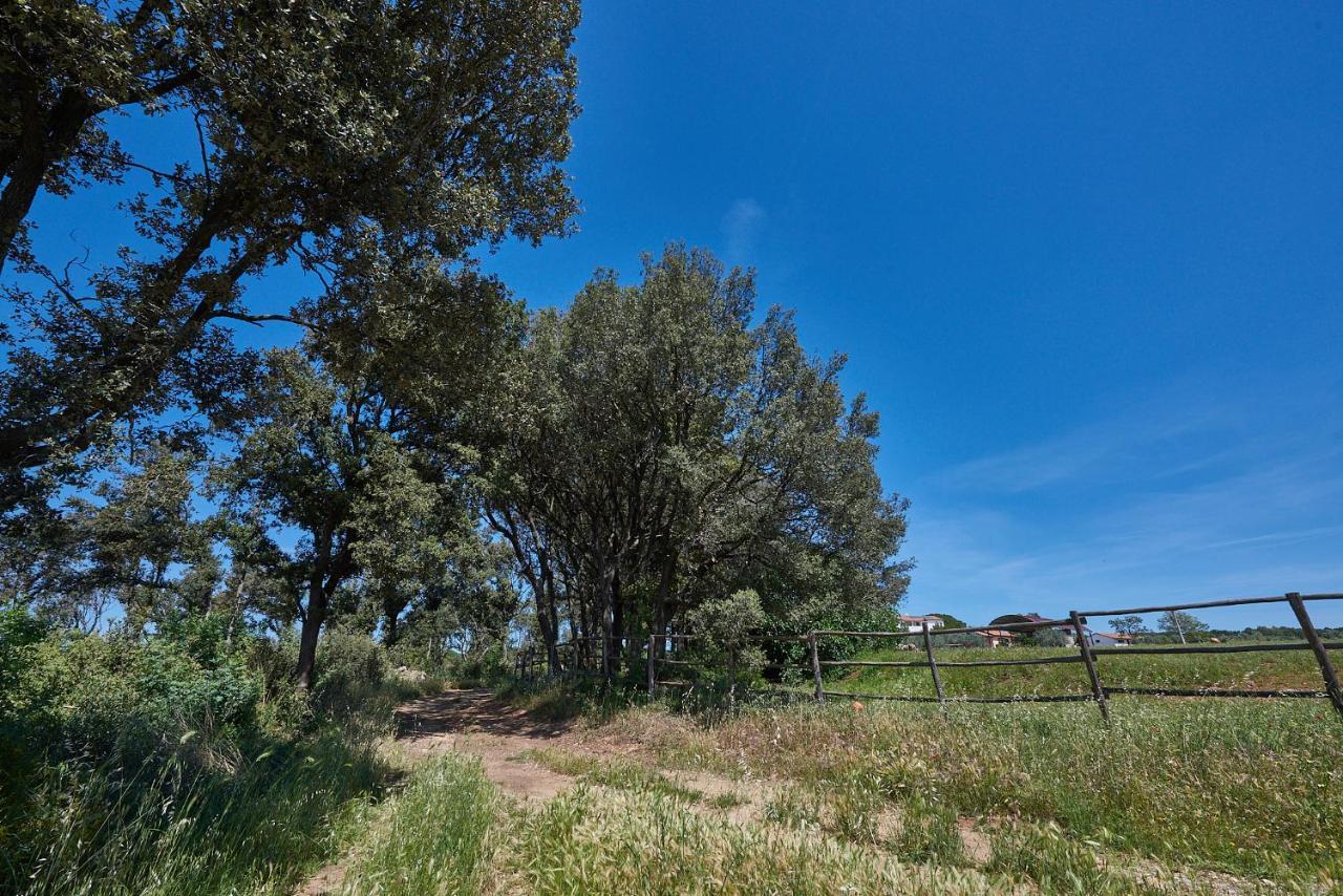 Agriturismo Tesorino Massa Marittima Eksteriør billede