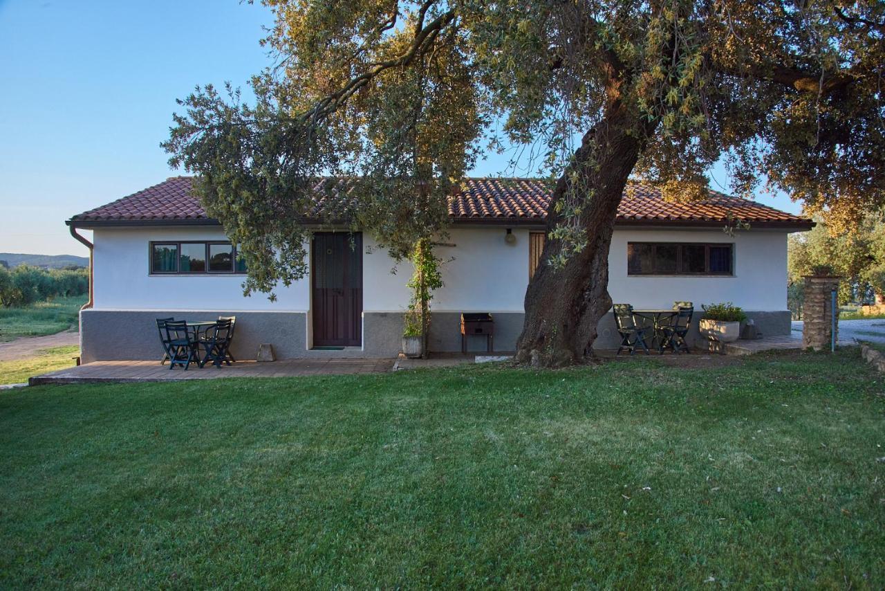 Agriturismo Tesorino Massa Marittima Eksteriør billede