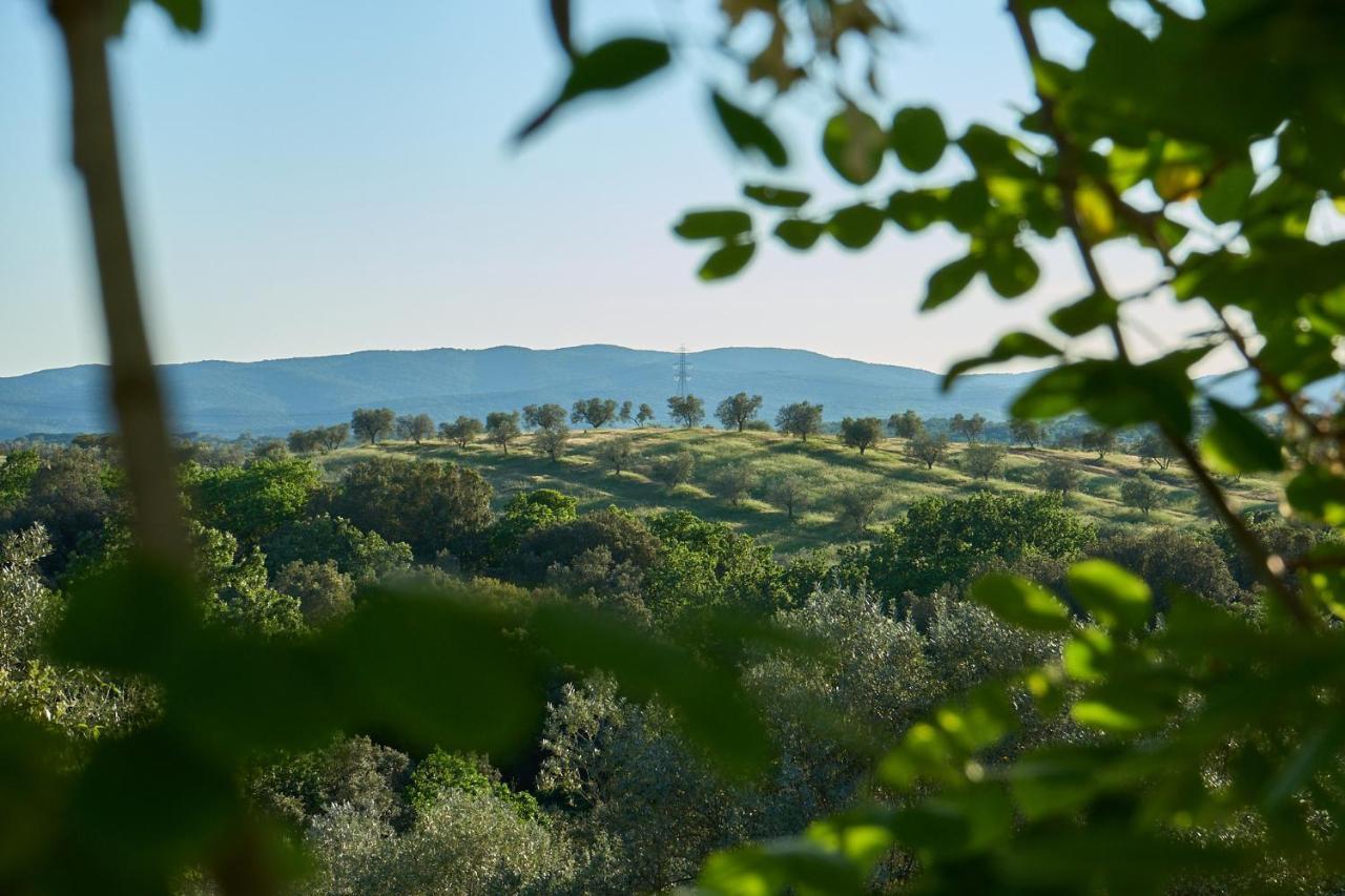 Agriturismo Tesorino Massa Marittima Eksteriør billede